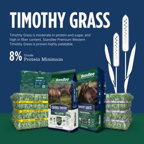 Timothy Grass Grab & Go Compressed Bale - 50lbs