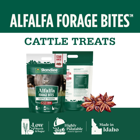 Alfalfa Forage Bites for Cattle - Star Anise Flavored