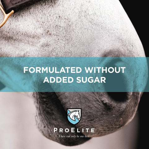 ProElite Sweat - 3lbs