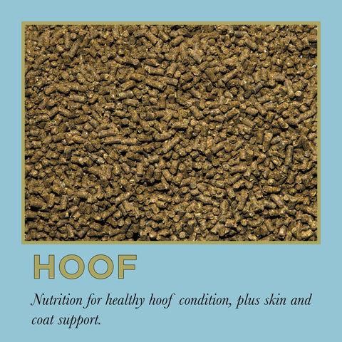 ProElite Hoof - 3lbs