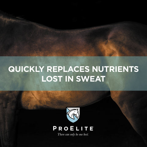 ProElite Aqua Aide - 15lbs