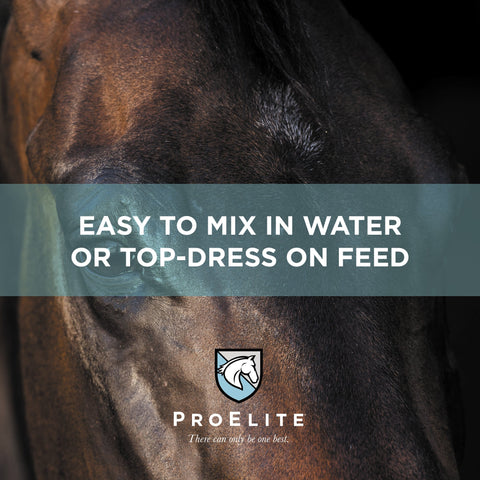 ProElite Aqua Aide - 15lbs