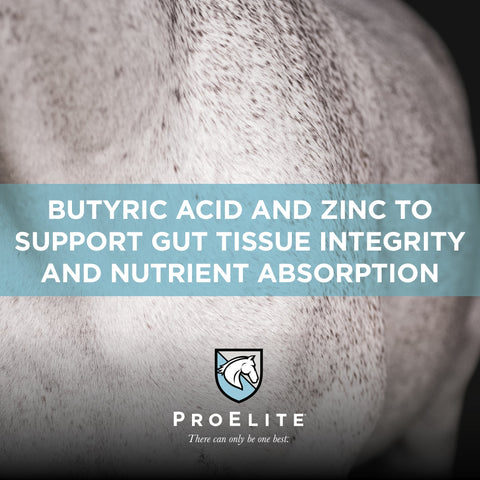 ProElite Gutbiome - 3lbs