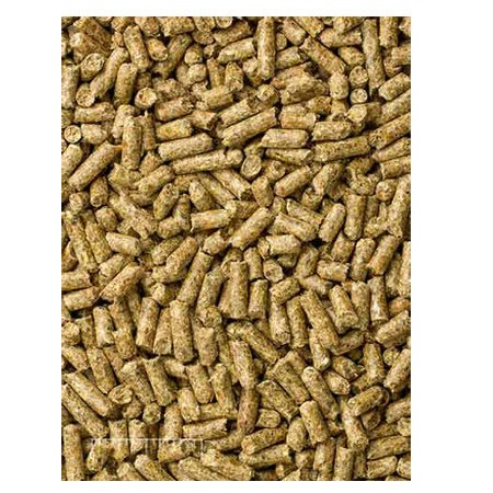 Mazuri Timothy-Based Guinea Pig Diet 5664 - 25lb