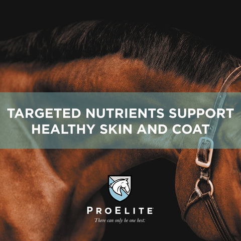 ProElite Hoof - 3lbs