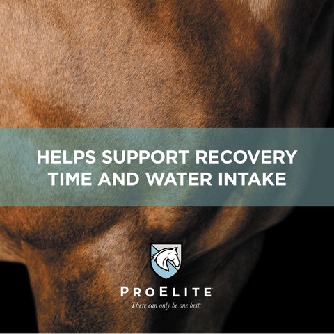 ProElite Aqua Aide - 15lbs