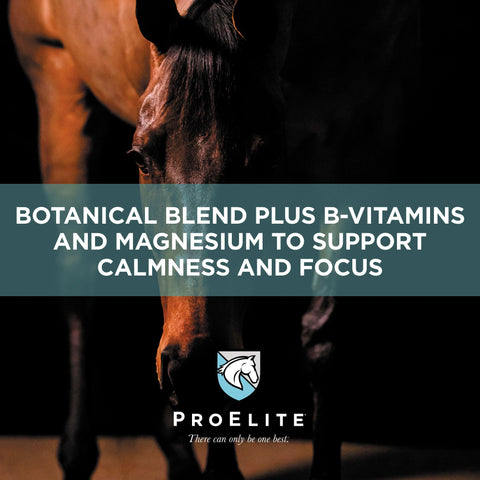 ProElite Calm - 3lbs