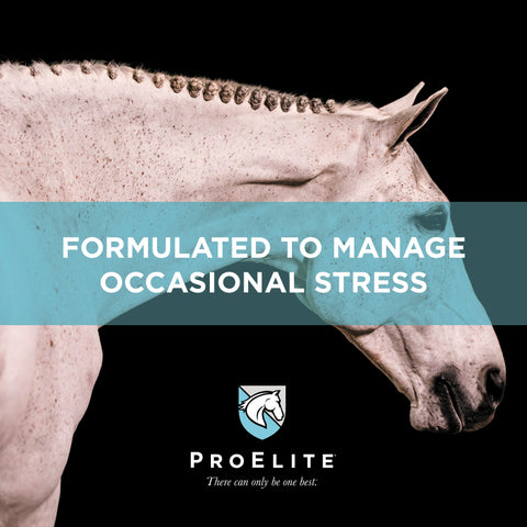 ProElite Calm - 3lbs