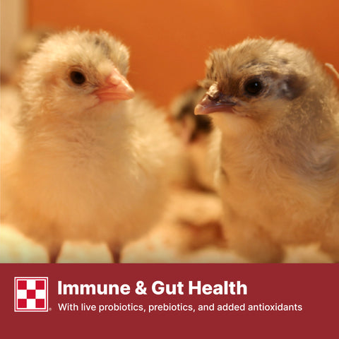 Purina Start & Grow AMP .0125 CR 61R5