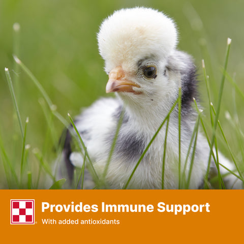 Purina Start & Grow CR 61R8