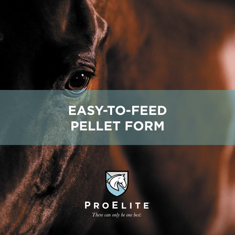 ProElite Hoof - 3lbs