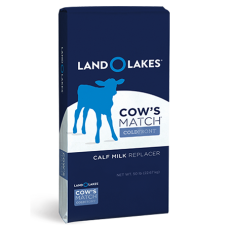 Land O Lakes Cows Match Cold Front