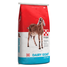 Purina Dairy Goat Parlor 18