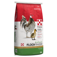 Purina Flock Raiser Crumbles 50-lb