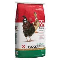 Purina Flock Raiser Pellets 50-lb