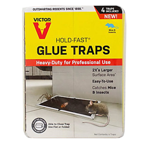 Rat glue trap — Vikaspedia