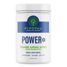 POWER+ Equine Amino Acid Plus Probiotics is a dietary supplement for horses. White container.