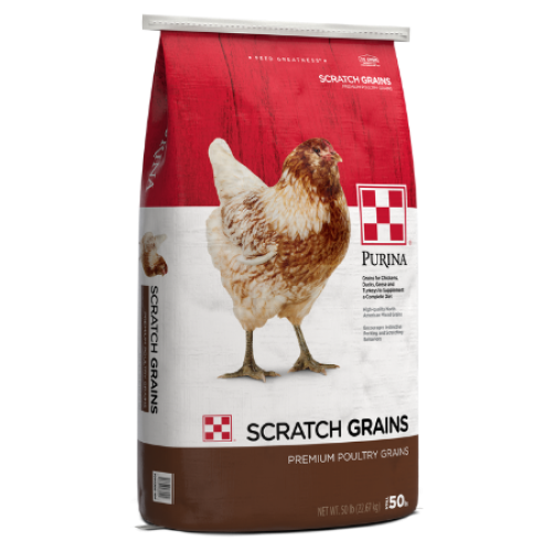 Purina Scratch Grains | Argyle Feed Store