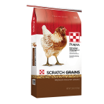 Products_Flock_Scratch-Grains_25-lb