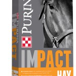 Purina Impact Hay