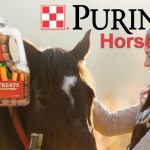 Argyle_PurinaHorseTreats Slider