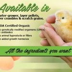 Argyle_PurinaOrganicChickenFeed Slider