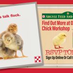 Argyle Feed_Flock Talk Chick Workshop_FB Event Cover