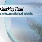 Argyle Feed_Generic Fish Truck Visits_Slider