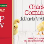 Argyle Feed_Peep Show Chick Arrivals_Slider