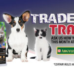 Argyle Feed_Trade In Trade Up Exclusive Promo_Slider