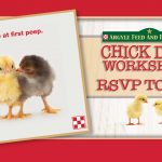 Argyle Feed_Chick Days Workshops_FB Event Cover