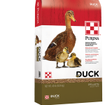 2019-Purina-Duck-Feed-40lb-WEB