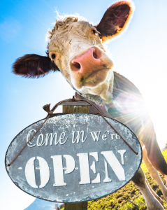 Argyle Feed & Hardware is open for business. Stop in and see us today!