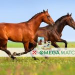 Argyle Feed_Omega Match Products_Smart Slider